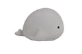 Mon Premier Animal Marin Baleine