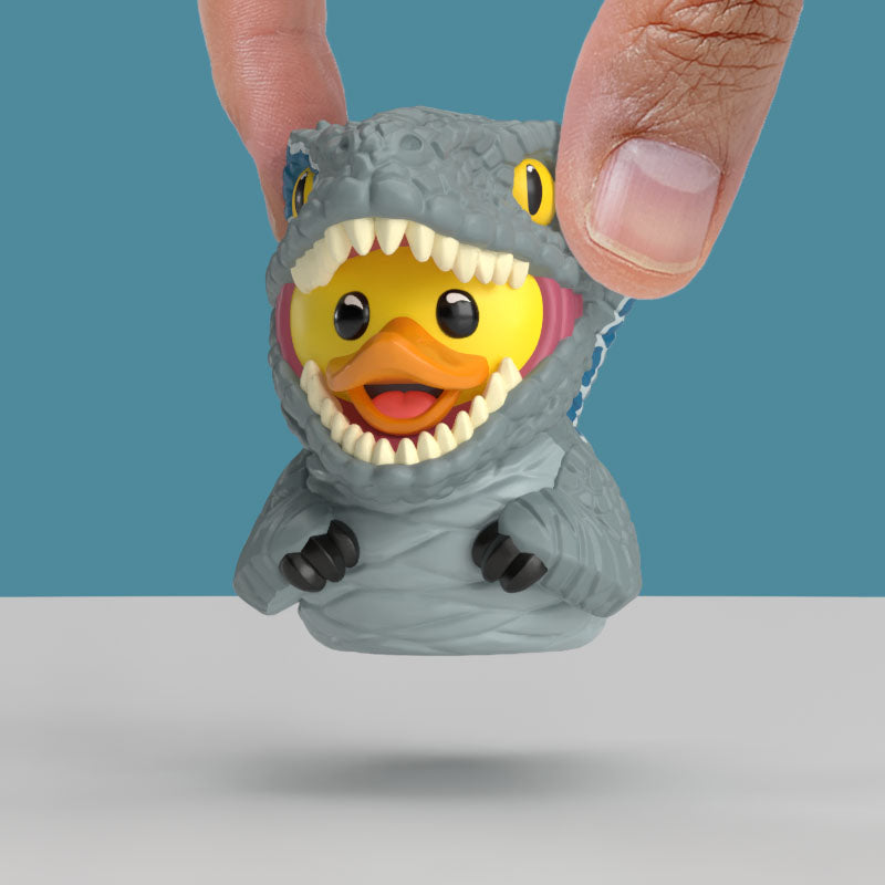 Canard Beta (Mini Edition)