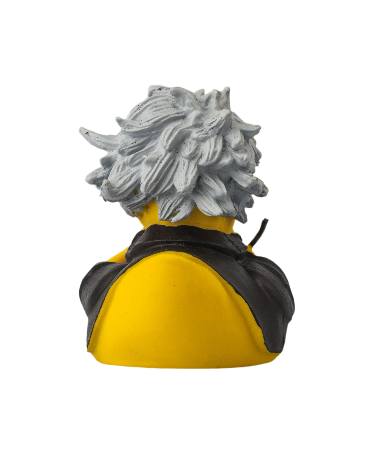 canard-beethoven-austroducks