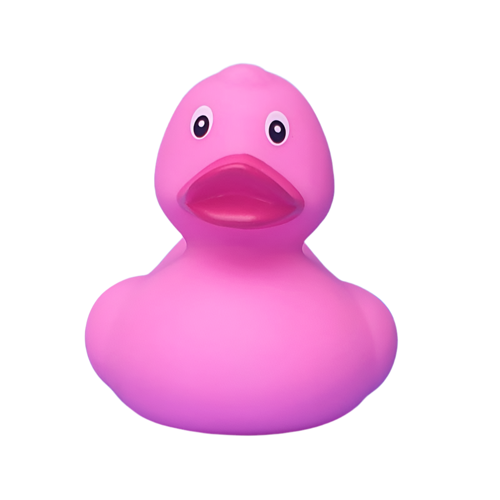 canard-classique-dutch-ducky