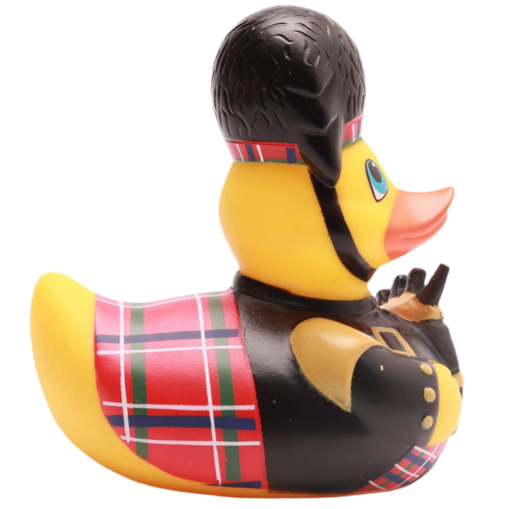 Canard Écossais