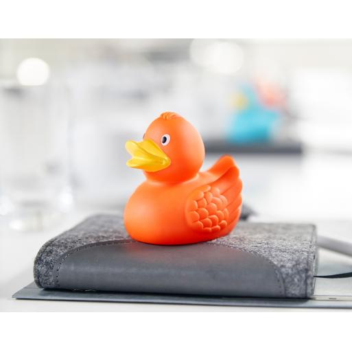 Canard classique avec ailes