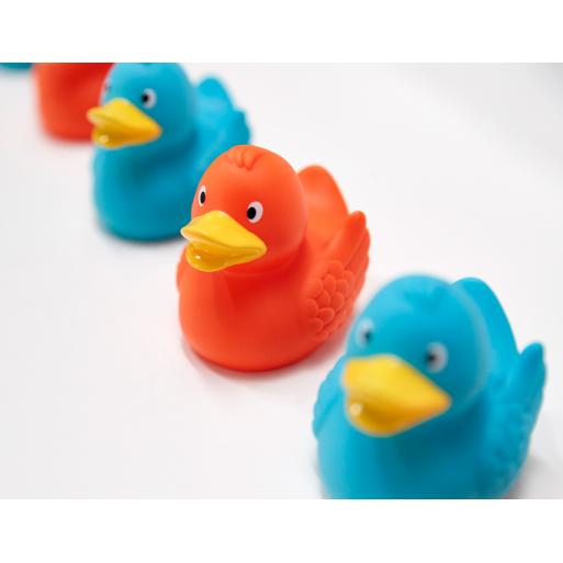 canard-bleu-turquoise-schnabels