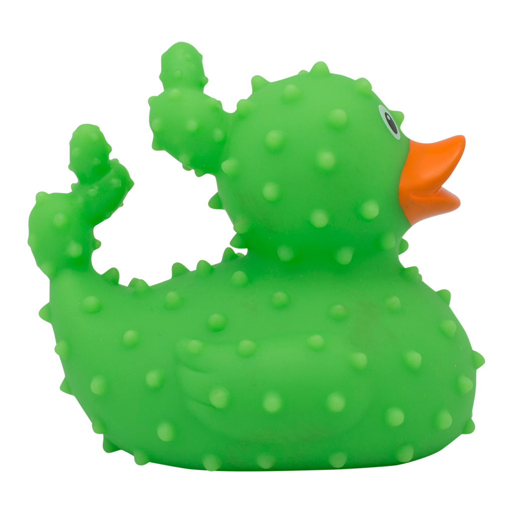 canard-cactus-lilalu