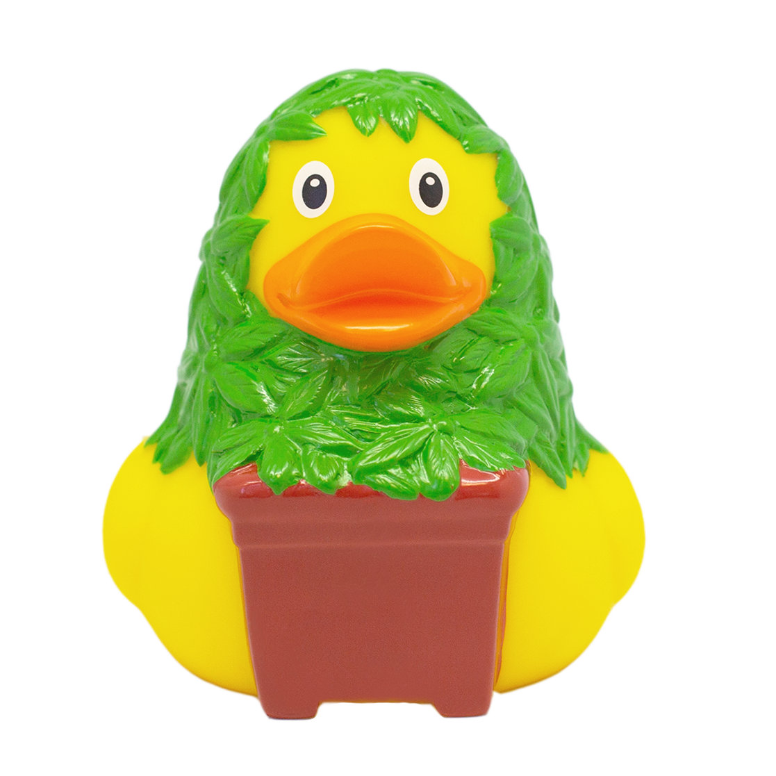 canard-cannabis-lilalu