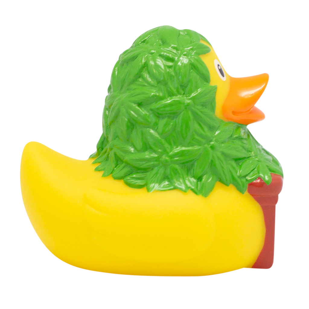 canard-cannabis-lilalu