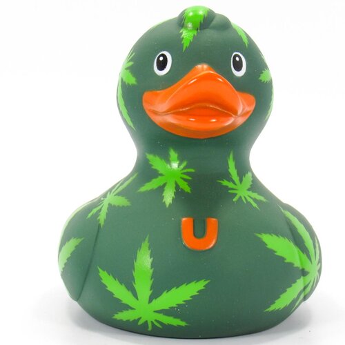 Cannabis eend