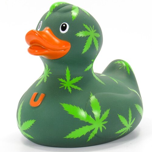 Cannabis eend