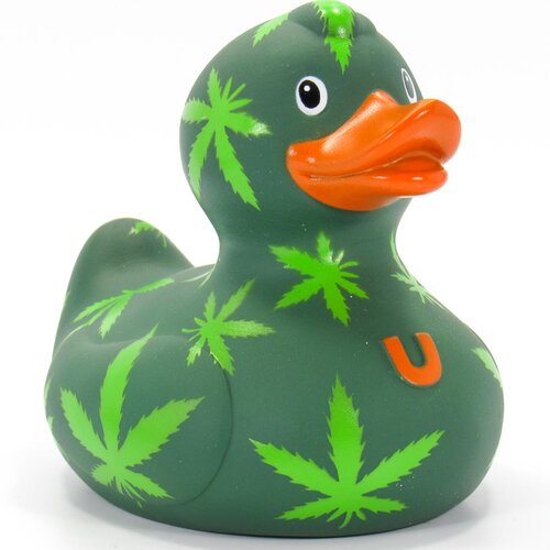 Cannabis eend