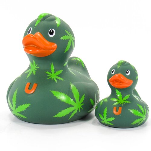 Cannabis eend