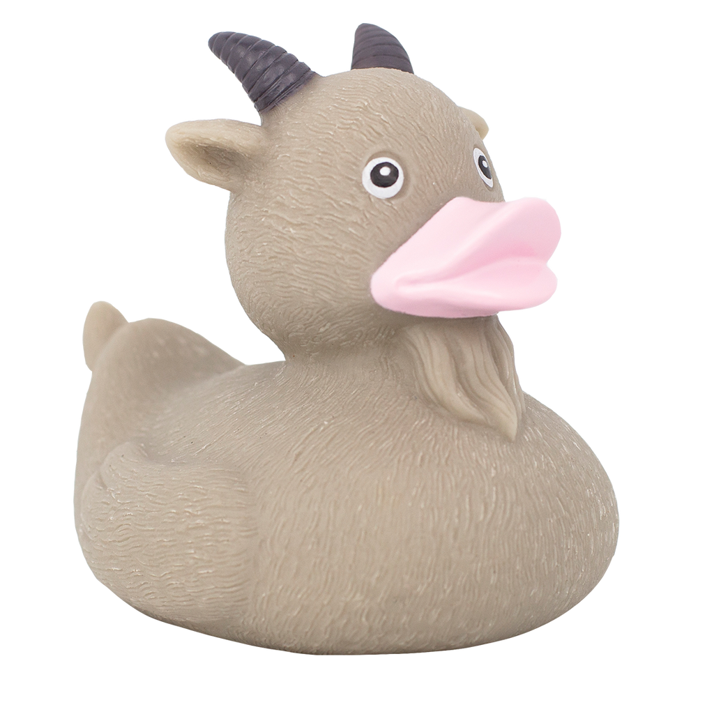 Goat duck