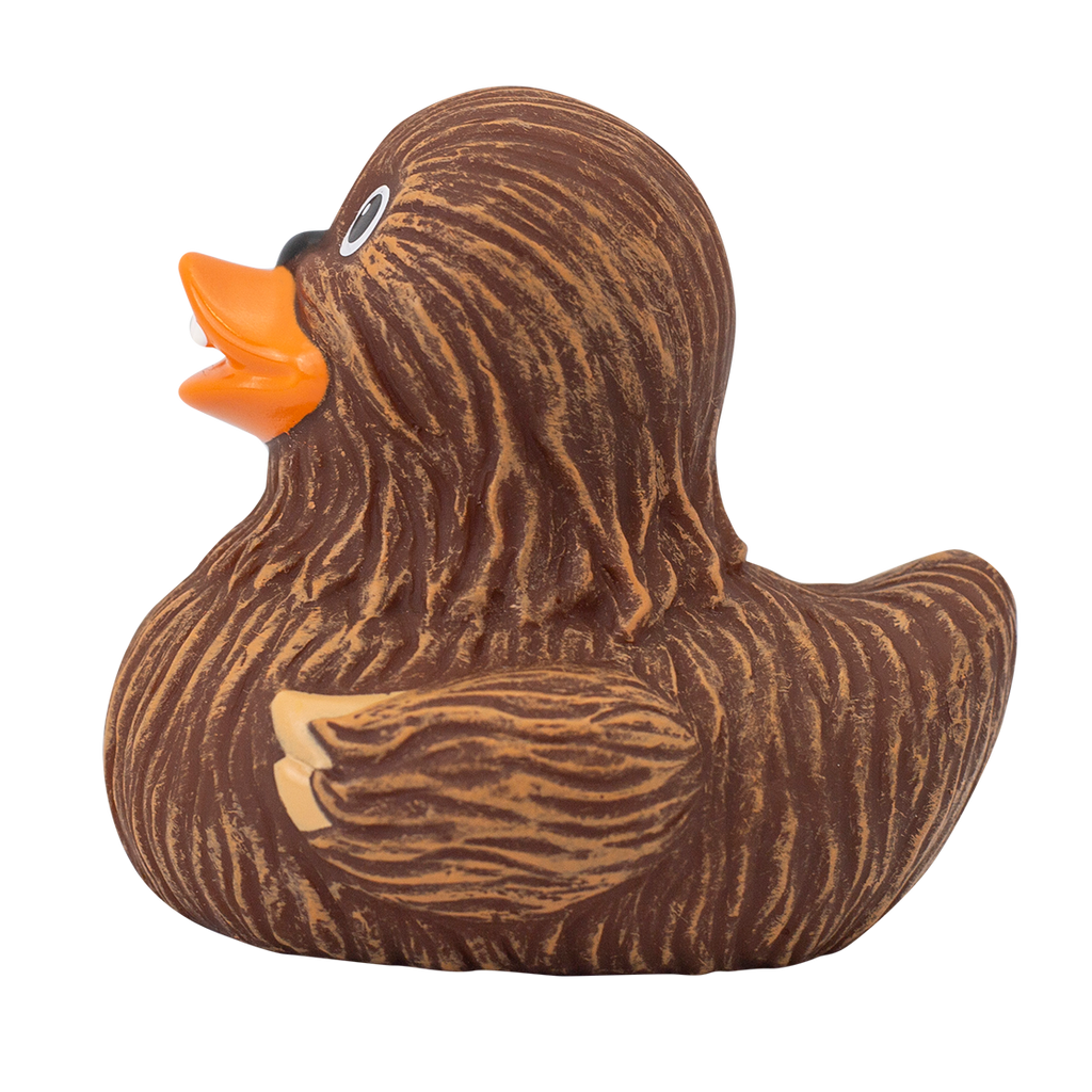 Chewie Duck