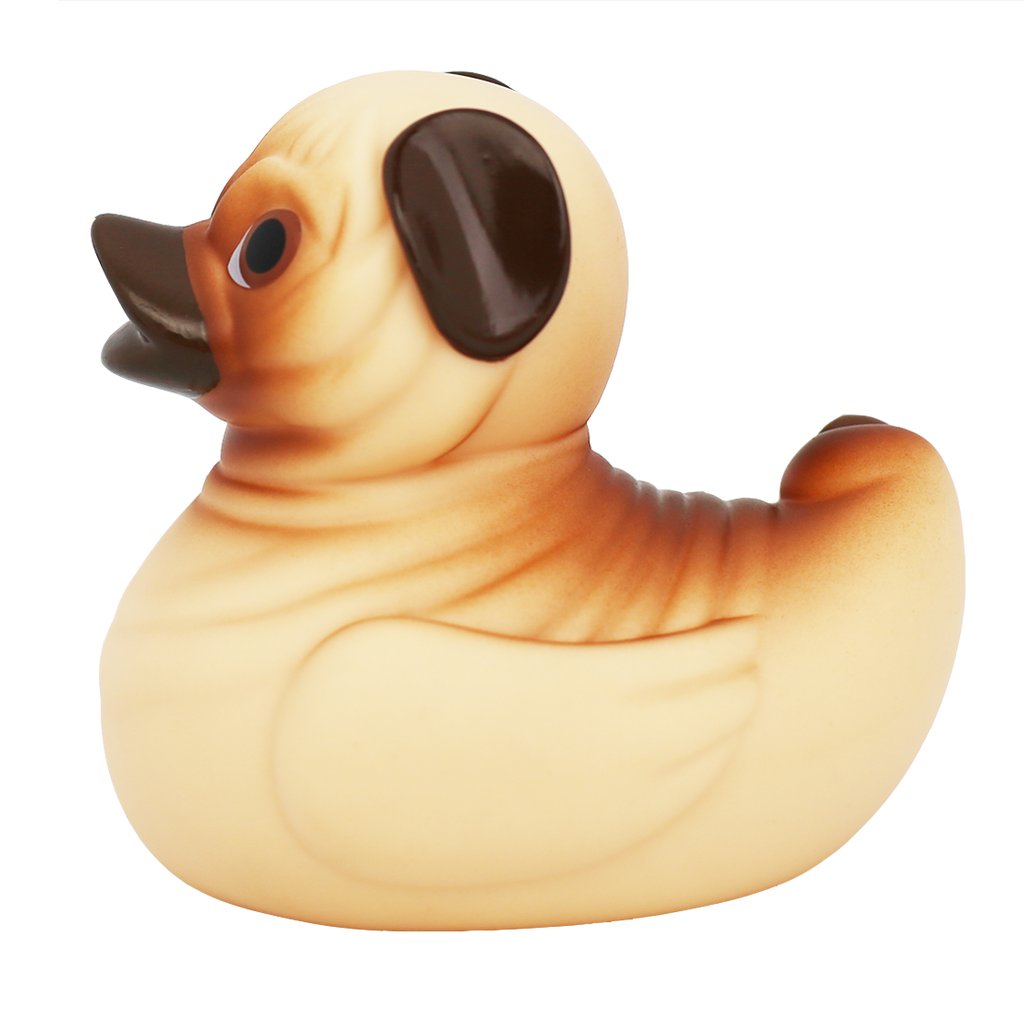 Pug Dog Duck