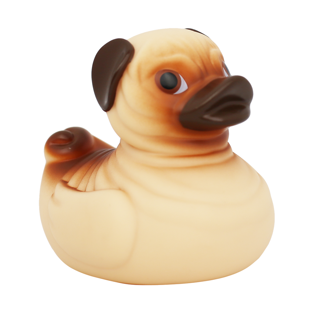 Pug Dog Duck