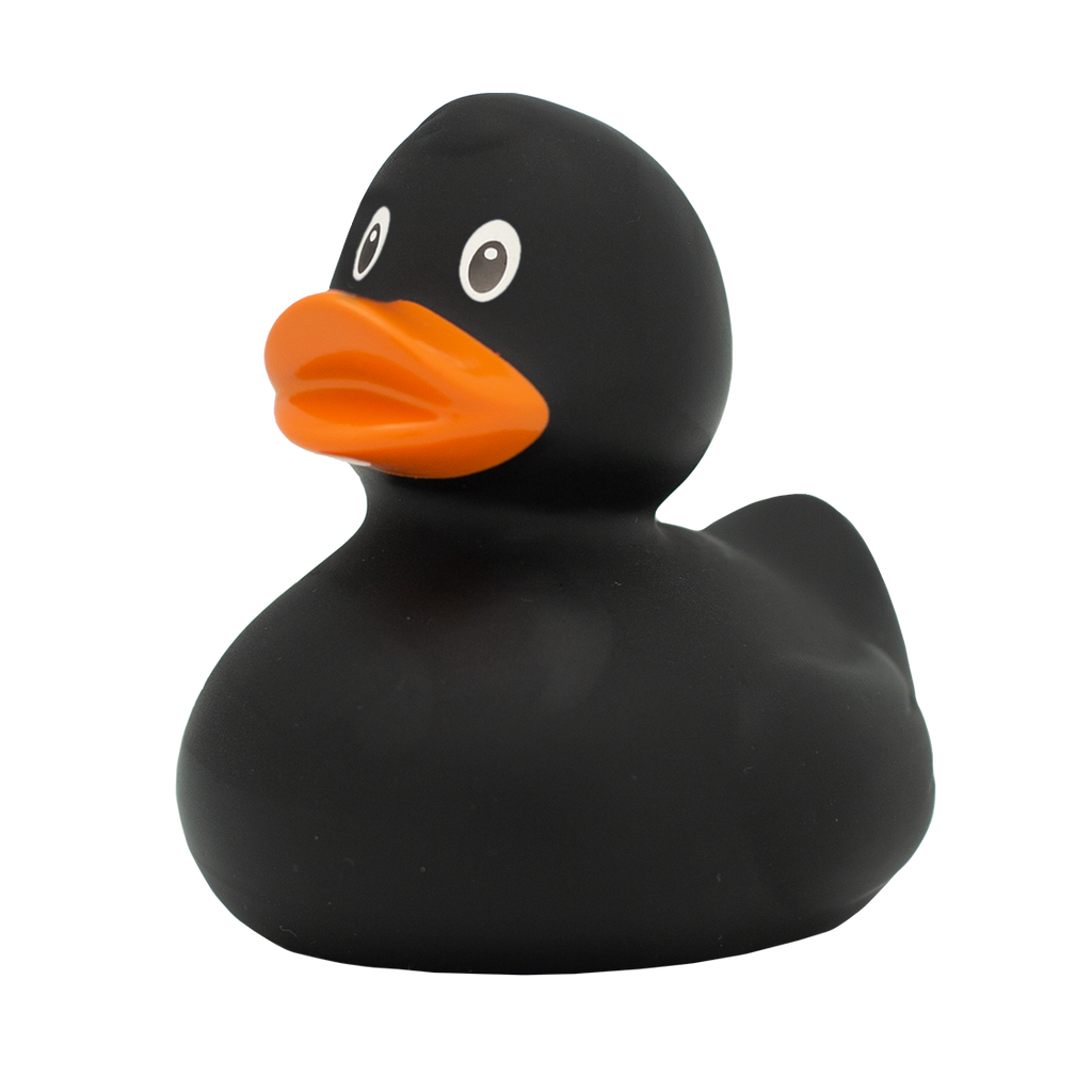 Klassieke zwarte eend