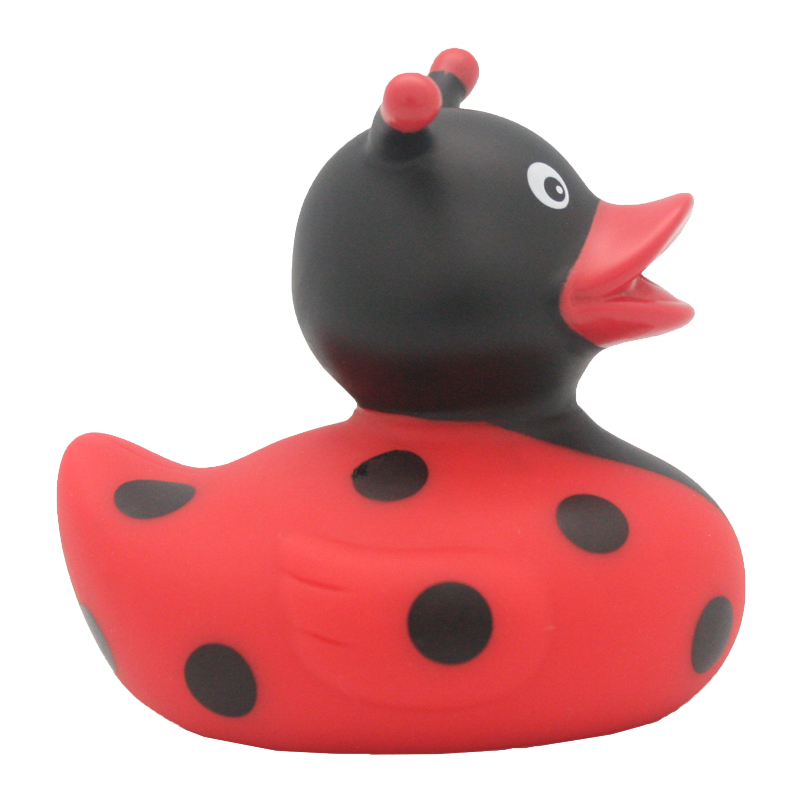 canard-coccinelle-lilalu