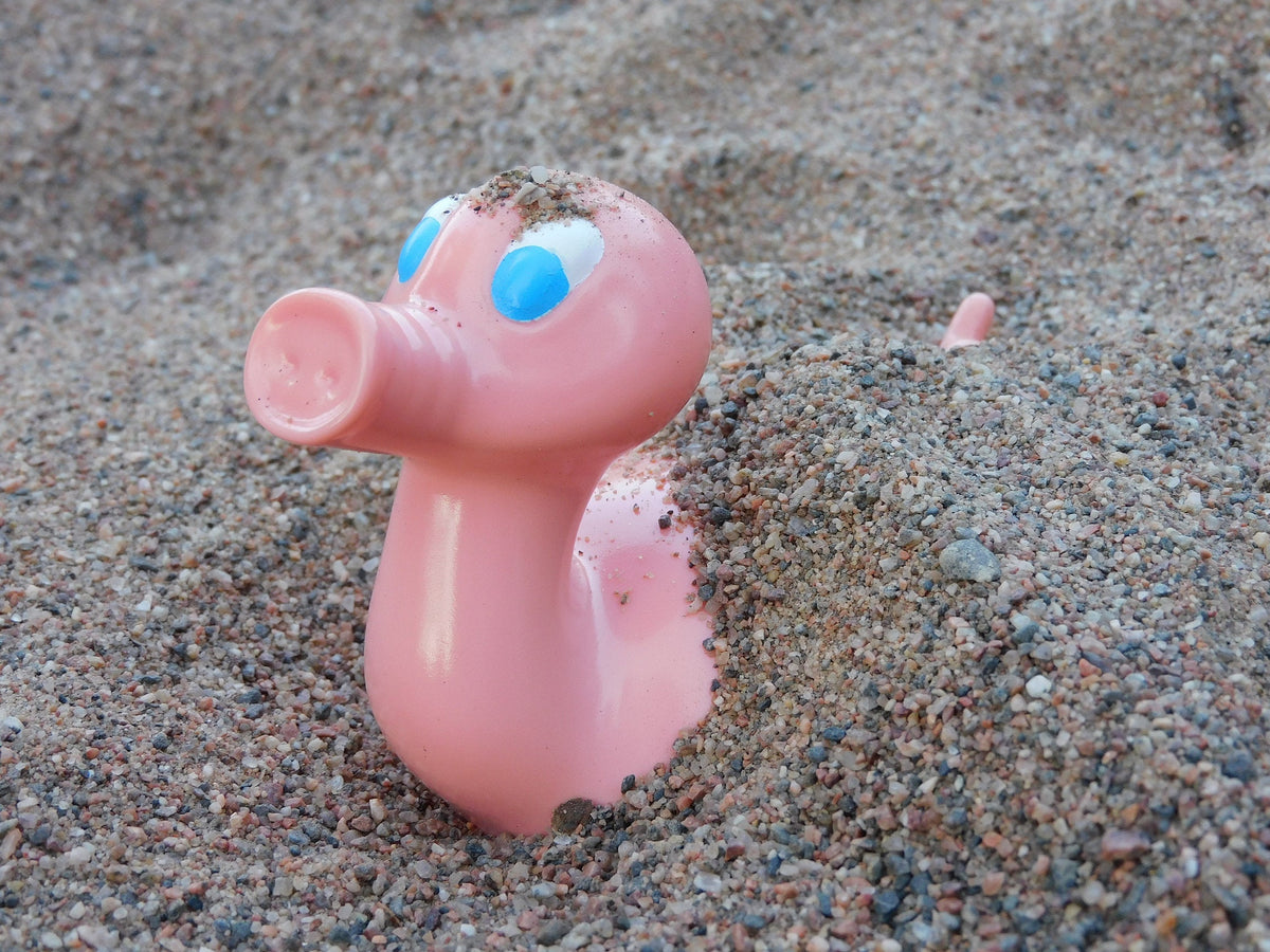 Canard Cochon Posankka – visuel produit