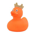 Orange Crown Duck