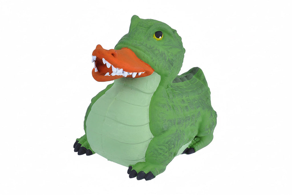 Canard Crocodile