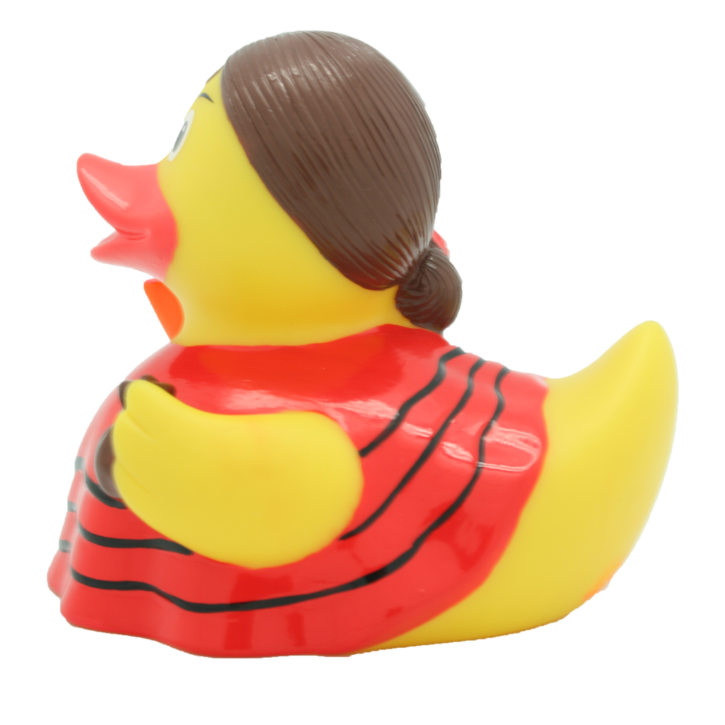 Flamenco Duck