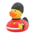 Duck Guard Royal