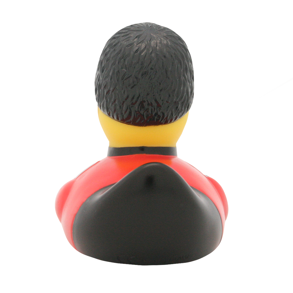 Königliche Wachente