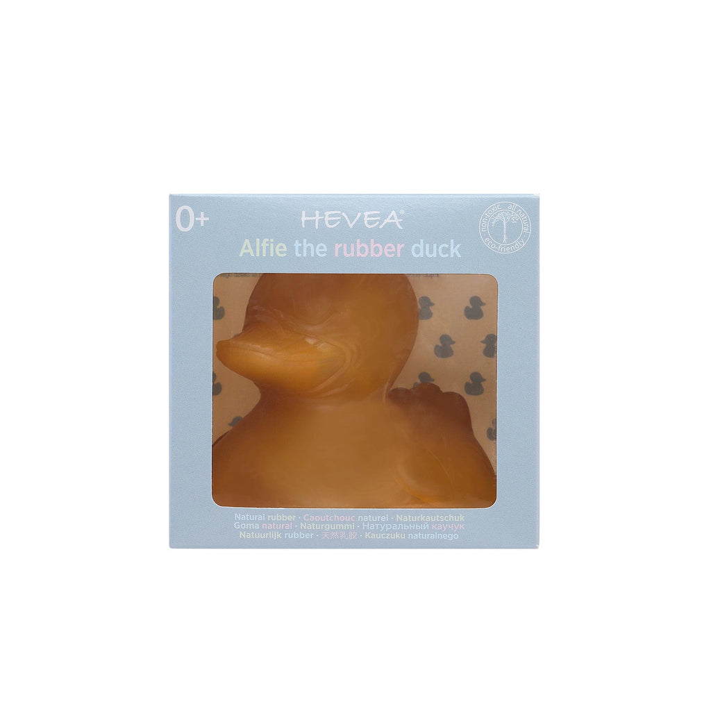 Canard Alfie HEVEA – vue secondaire