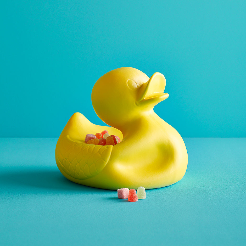 Monsieur le vilain petit canard jaune – Jasmin Djerzic