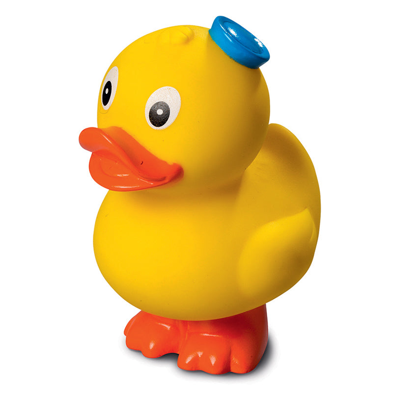 canard-debout-matelot-schnabels