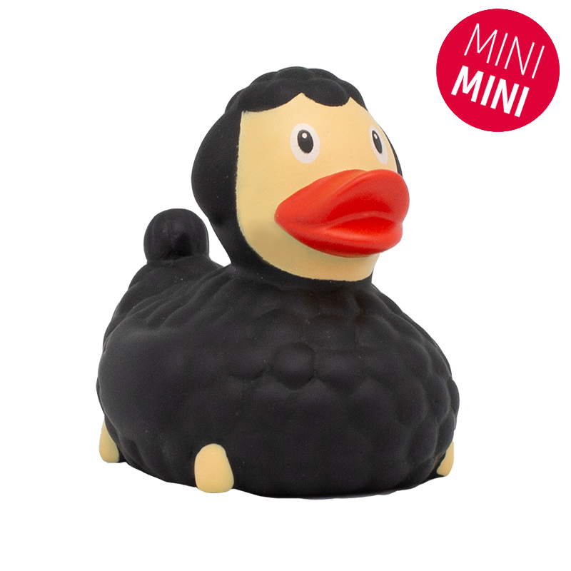 Mini Canard Mouton Noir