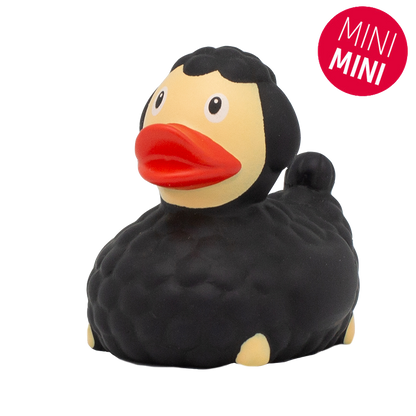 Mini Canard Mouton Noir