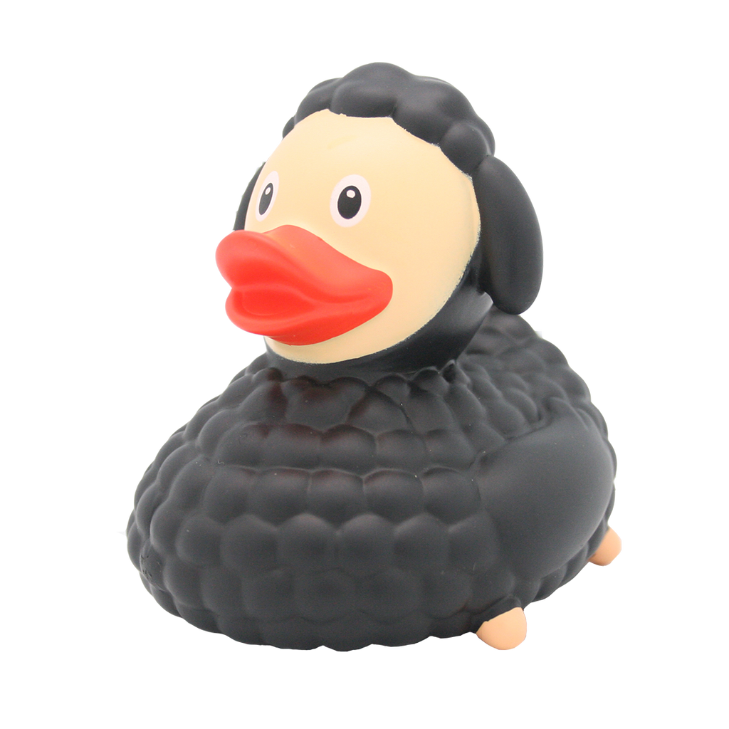 Canard Mouton Noir