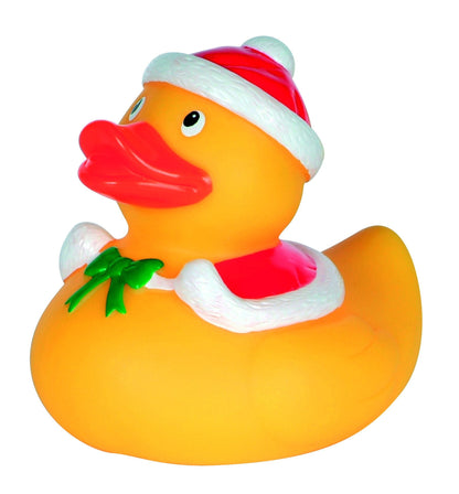 Little Christmas Duck