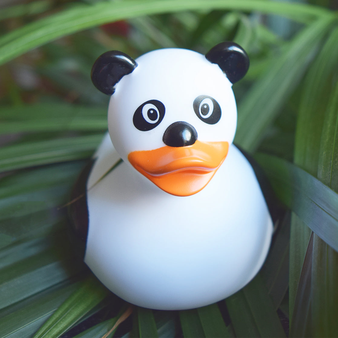canard-panda-lilalu