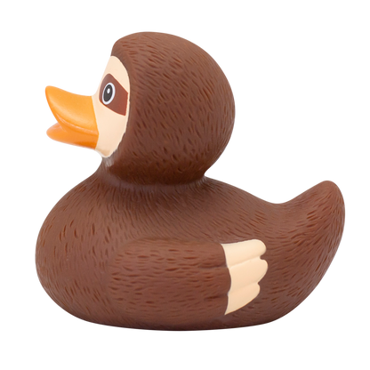 Lazy duck