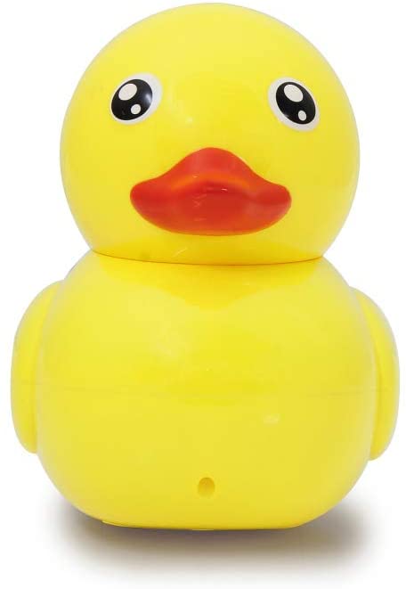 canard-radiocommande