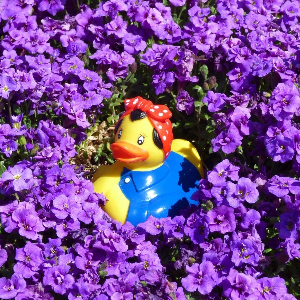 canard-rosie-the-riveter