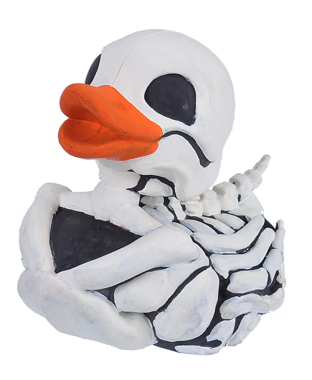 Skeleton Duck