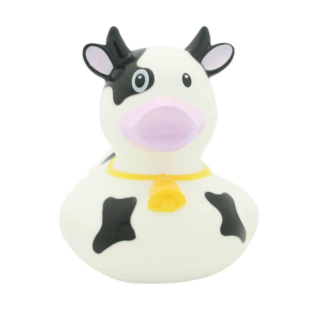 Dairy cow