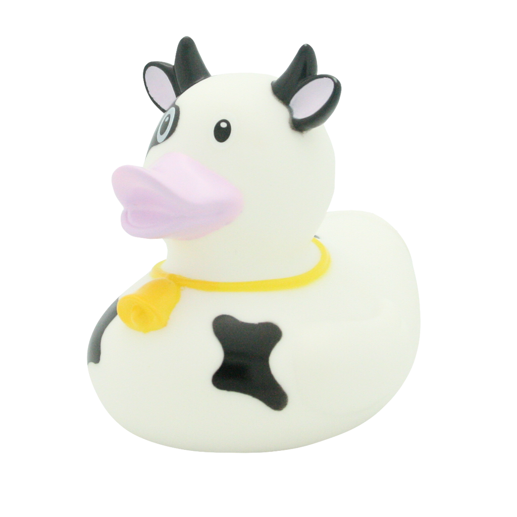 Dairy cow