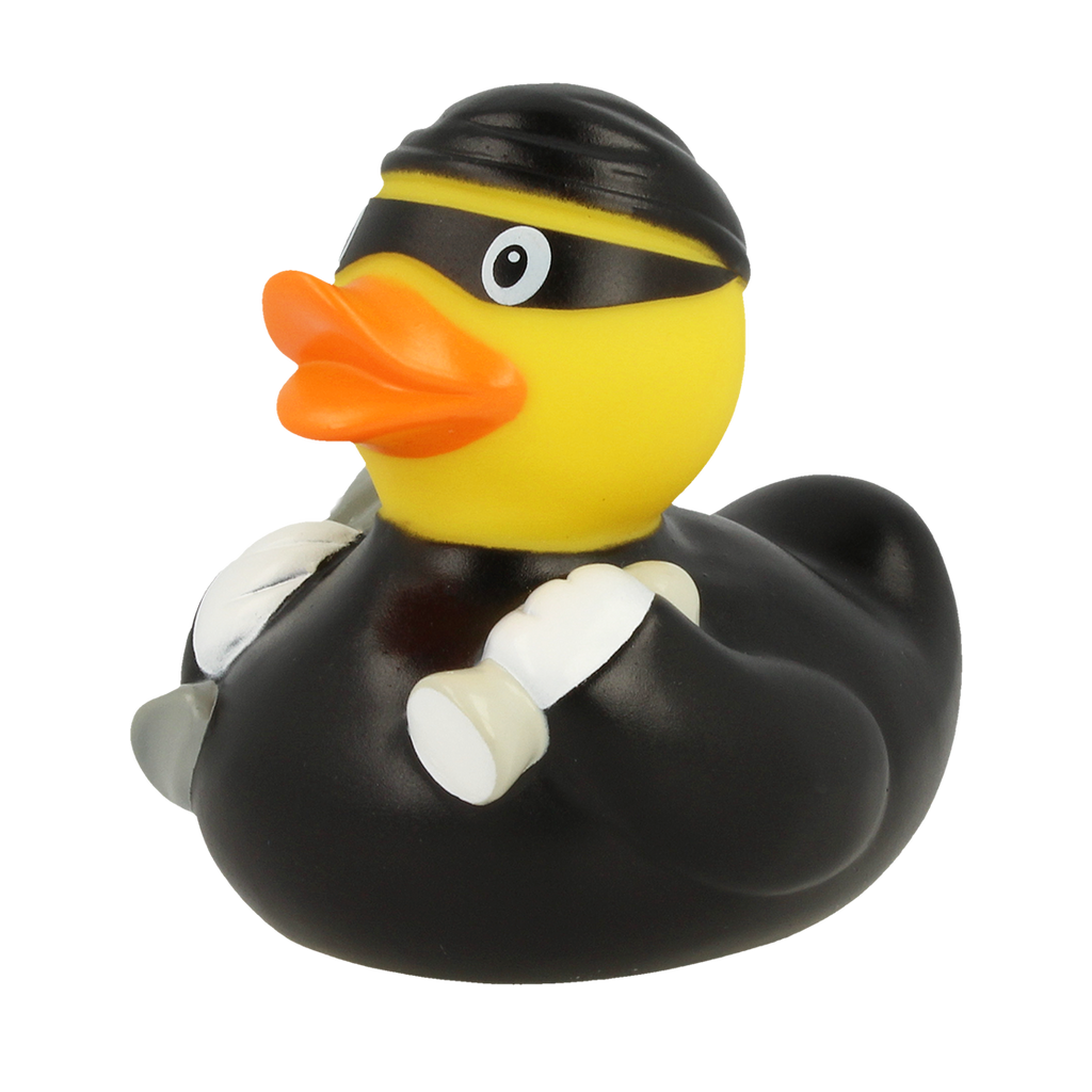 Canard Voleur