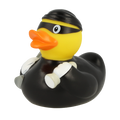 Canard Voleur