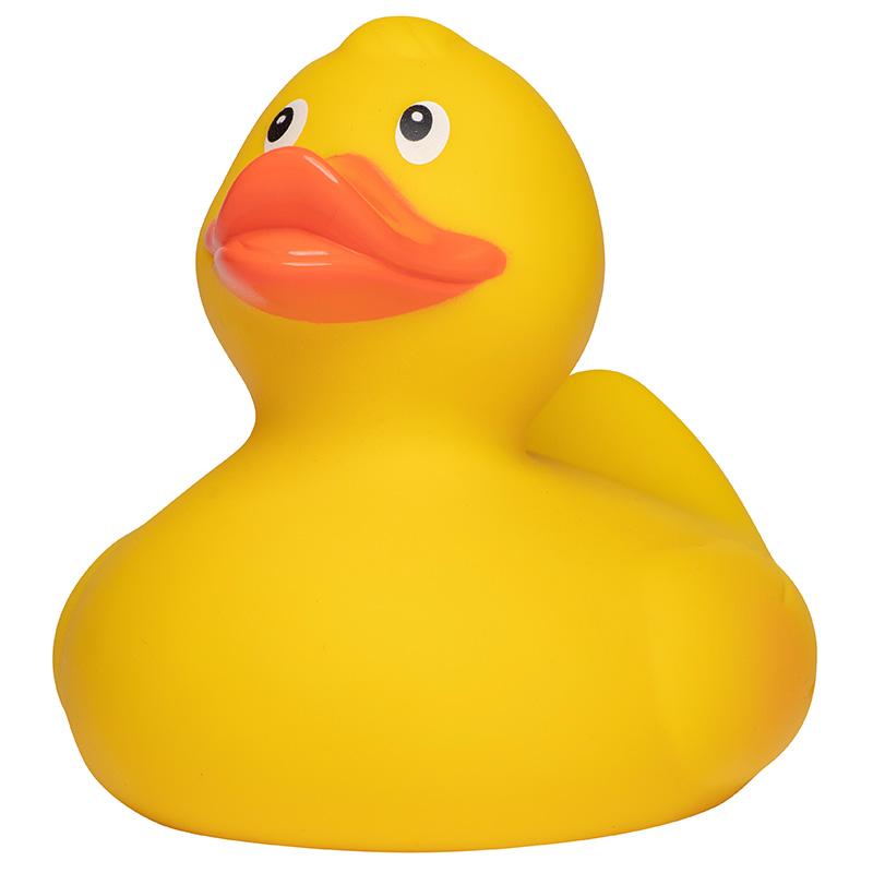 Canard de course L MBW
