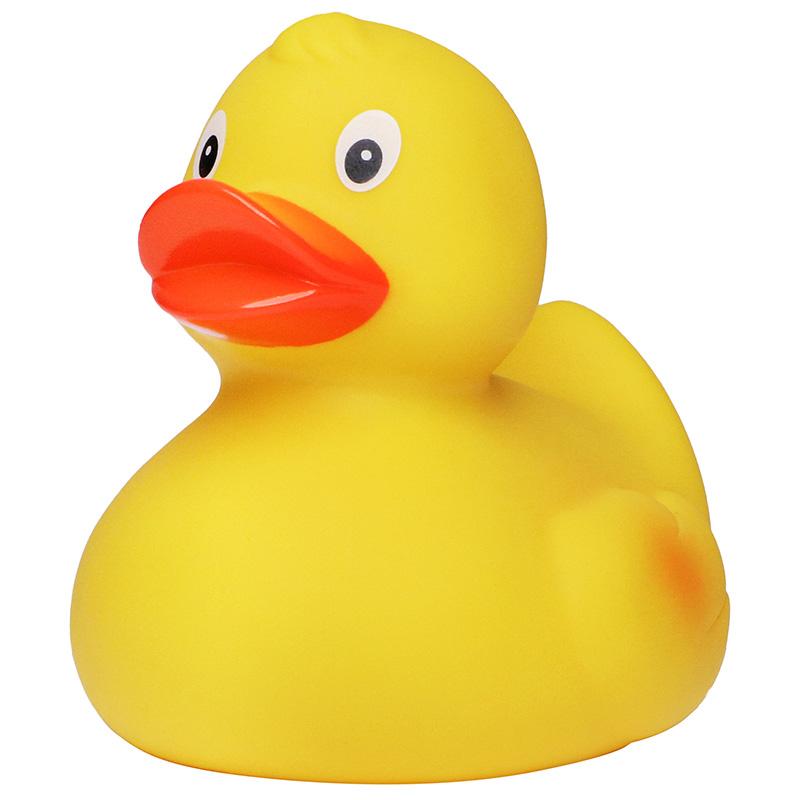 Canard de course M MBW