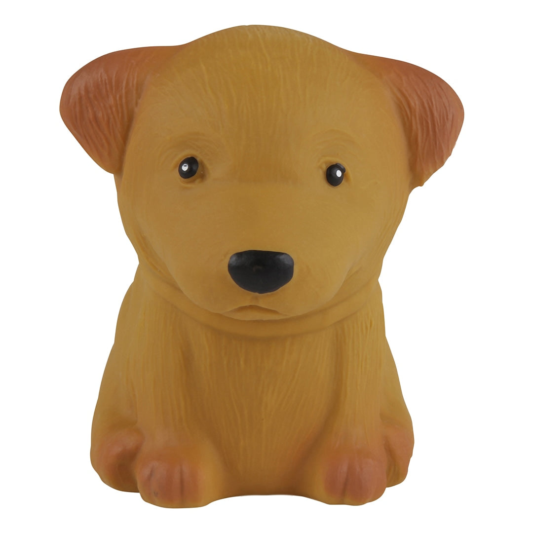 Puppy Parade Caniche