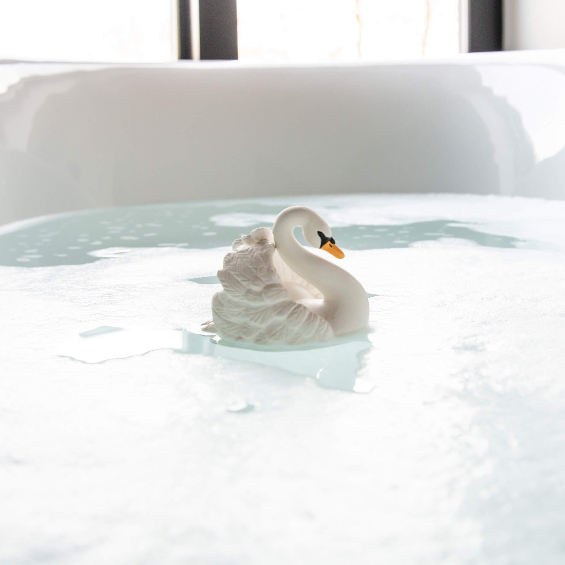 Grand Cygne de Bain