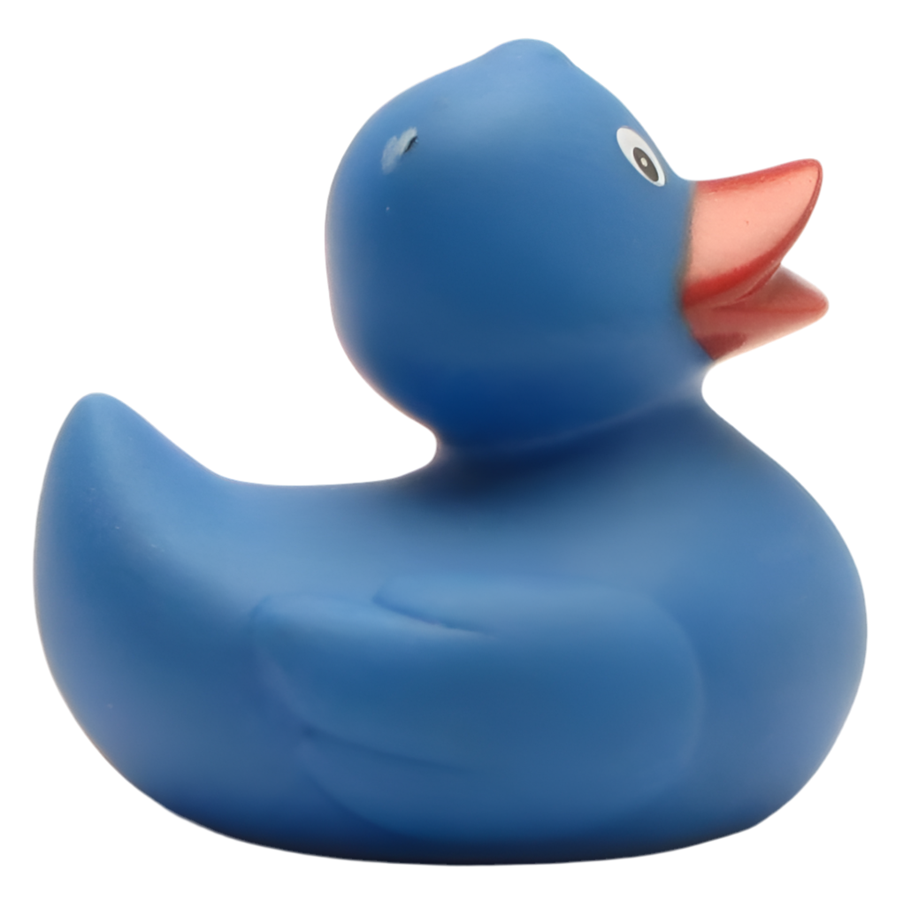Classic Blue Duck