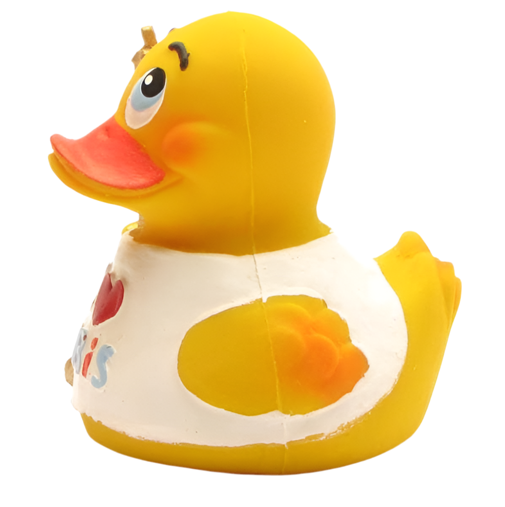 Duck I ❤️ Paris