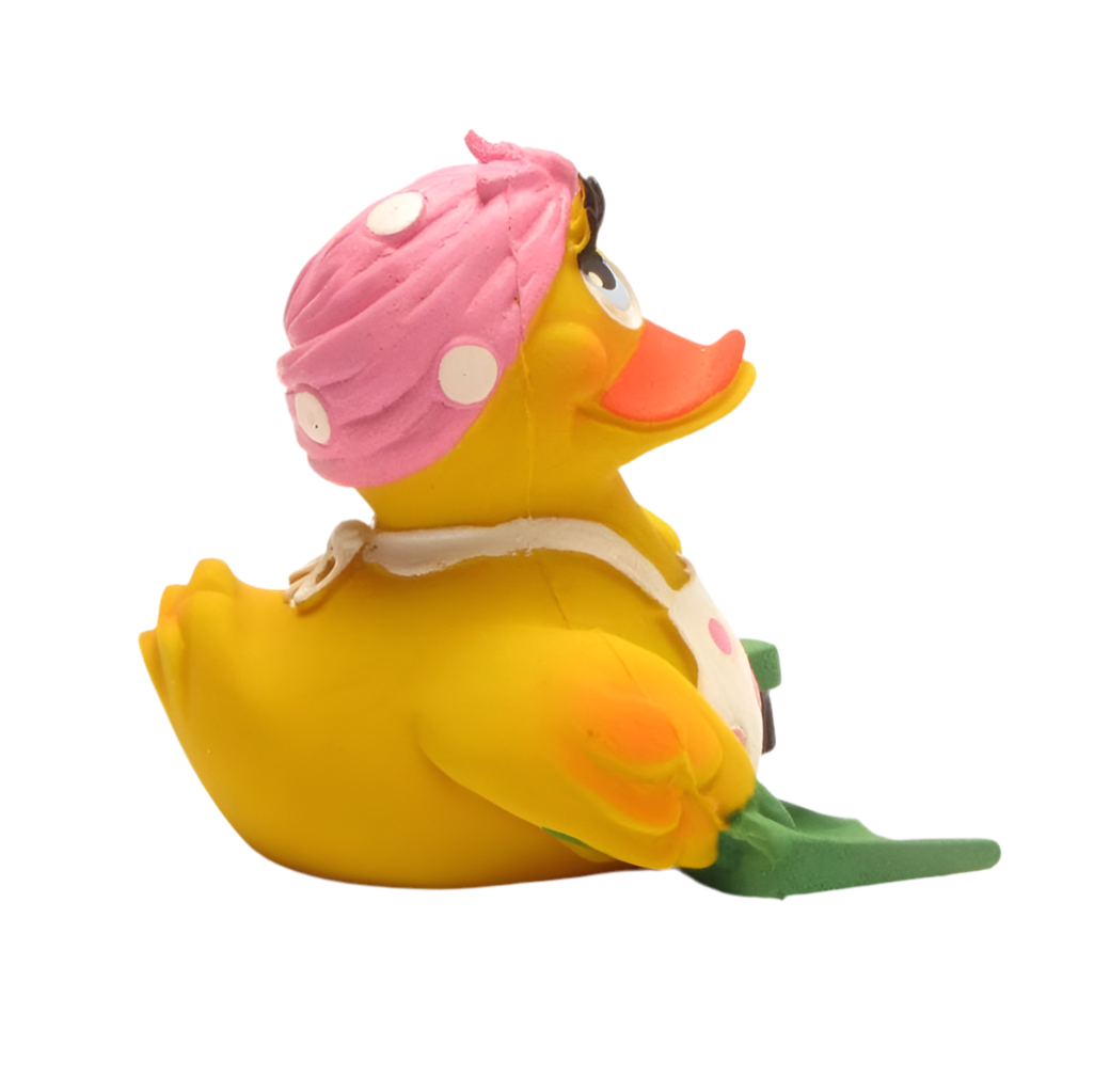 Canard Ménagère