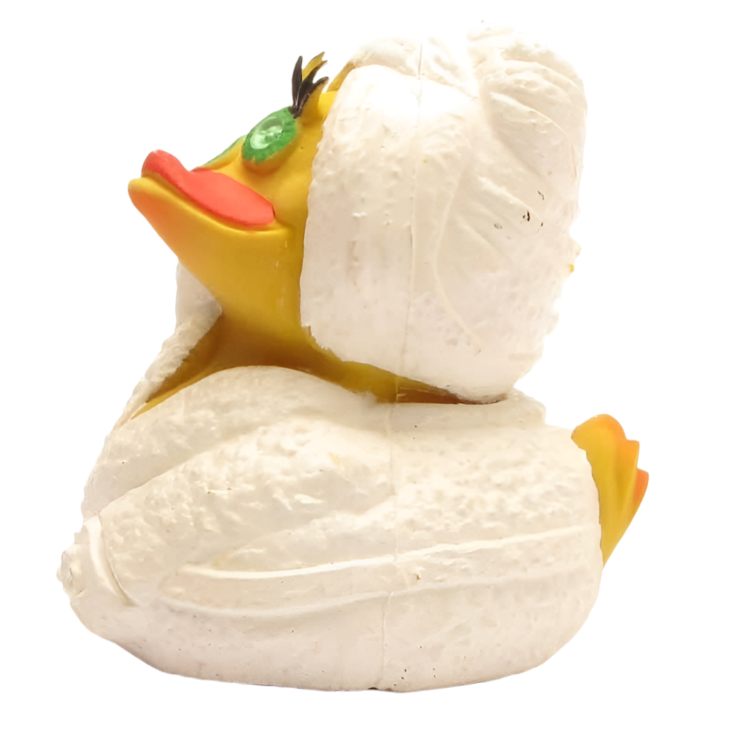 Canard Wellness